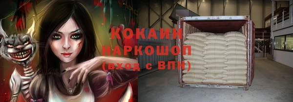 СК Коряжма