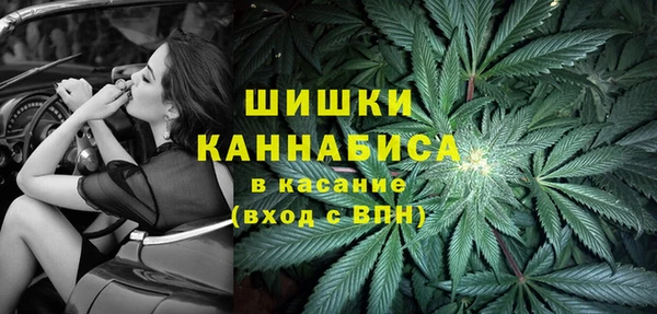 СК Коряжма