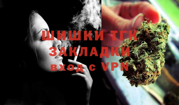 СК Коряжма