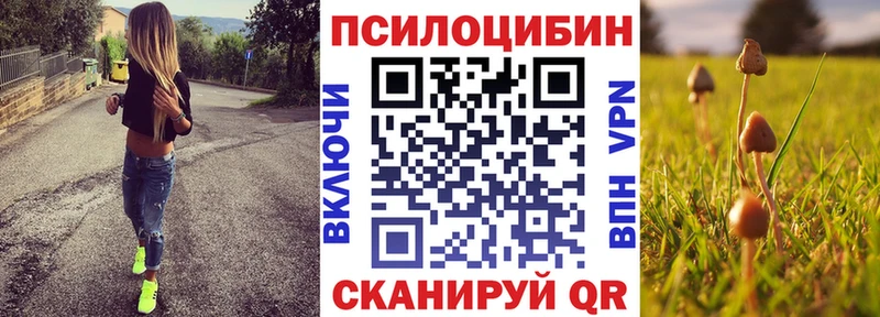 Псилоцибиновые грибы прущие грибы  купить  сайты  мега как зайти  Ессентукская 